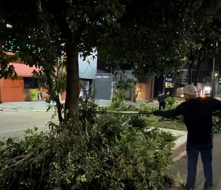 Ação integrada realiza poda noturna em cruzamento da região central
