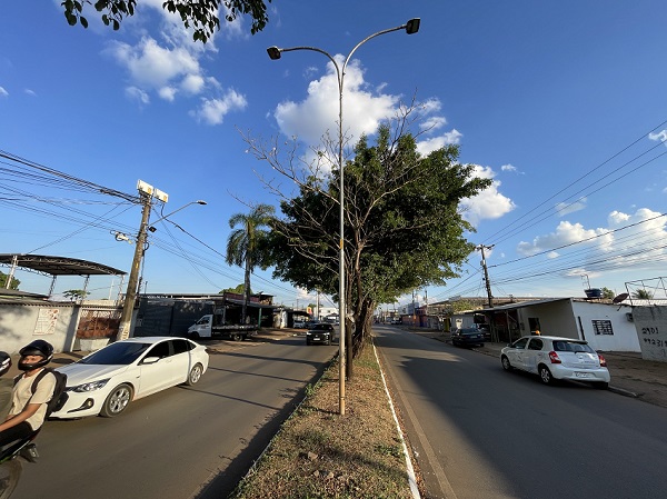 Av. Guaporé, fiação furtada.